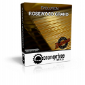 Evolution Rosewood Grand Update