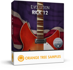 EvolutionAcousticGuitarSteelStrings