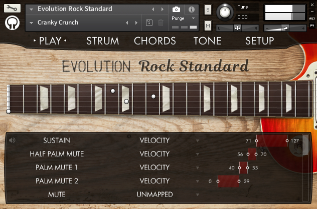 the evolution of the rock